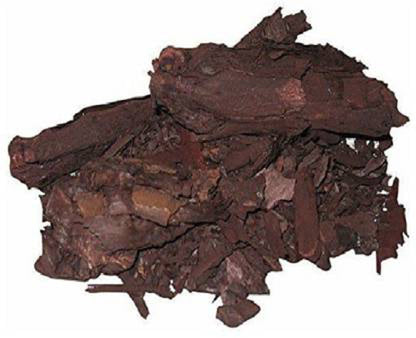 Ratanjot Root-Ratanjyot Jadd-Alkanna Tinctoria-Jatropha Curcas-रतनजोत जड़-Raw Herbs-Jadi Booti