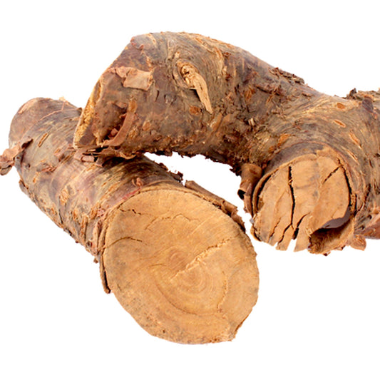 Sugandh Mantri-Gandhi Roots-सुगंध मंत्री गांधी जड़-Homalomena Aromatica-Raw Herbs-Jadi Booti dried