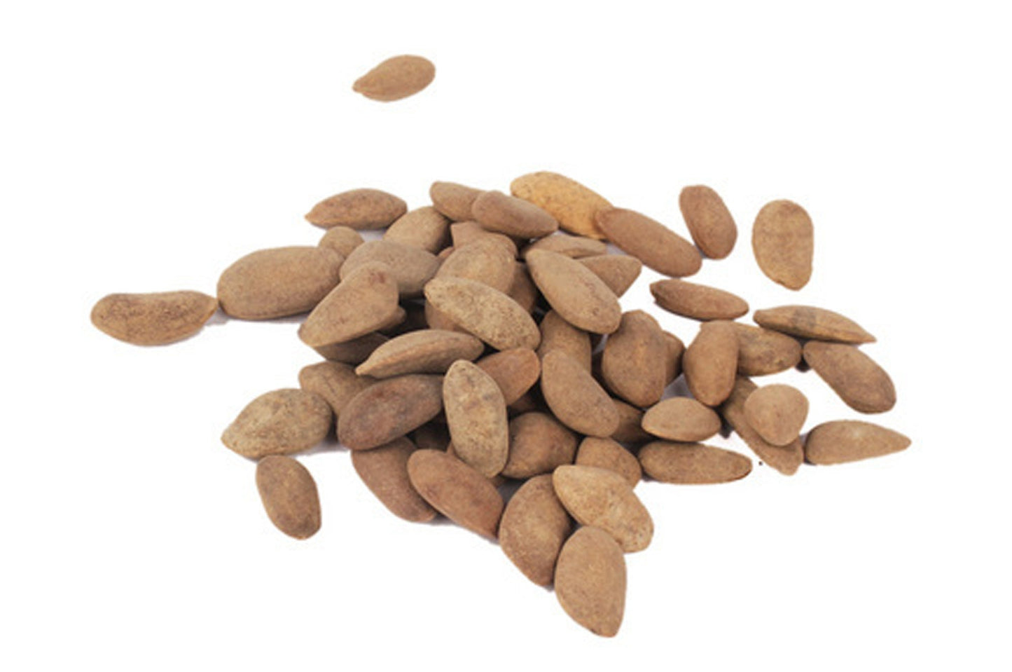 Kanchan Seeds-Beej Kanchan-Champak Seed-कंचन बीज-Michelia Champaca-Raw Herbs-Jadi Booti