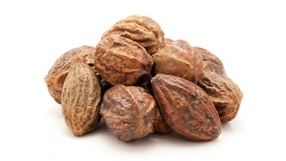 Harad Big Yellow-हराड बड़ा पीला-Harad Badi Pili Dried-Haritaki-Terminalia chebula-Raw Herbs-Jadi Booti