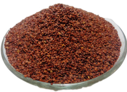 Lajwanti Seeds-Mimosa pudica -लाजवंती बीज-Lajvanti Beej- Chui Mui-Touch-Me-Not seeds-Humble Plant seeds-Tottalavadi