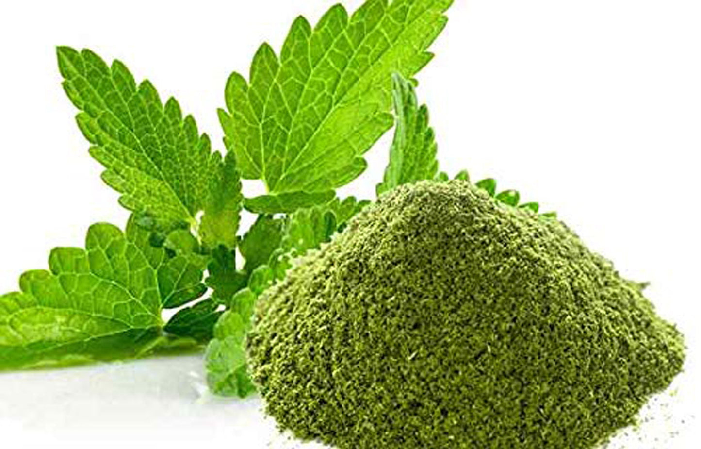 Podina Powder-Pudina Powder-पोदीना पाउडर-Mint Leaves Powder-Mentha Arvensis