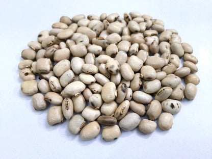 White Kaunch Seeds-Mucuna pruriens-कौच बीज -Kauch Beej-Cowhage-Velvet Bean-Kapikachchhu-Konch-Poonaikali Vithu-Naikurana-Kavanch