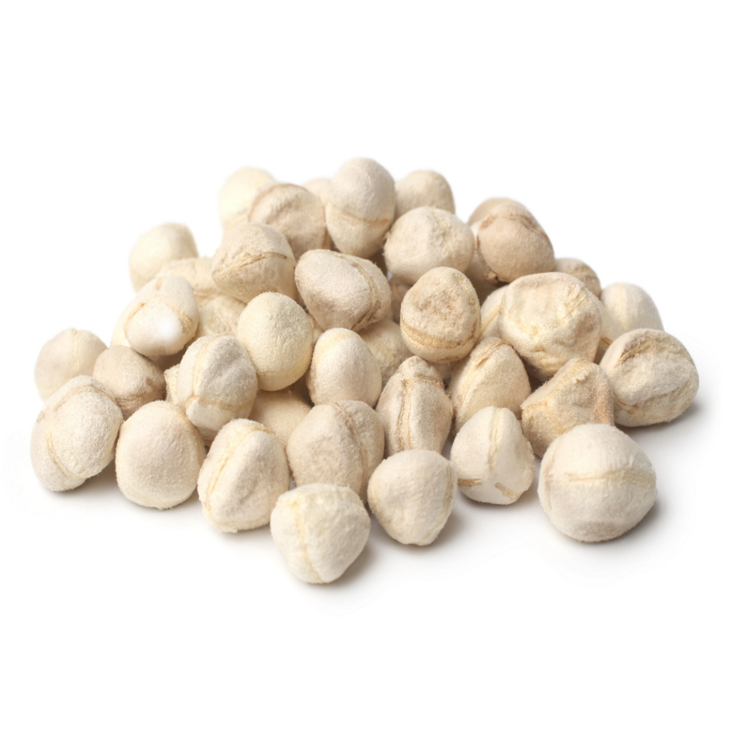 Moringa Seeds without Shell -Moringa Oleifera- सहजन बीज-Drumstick Seeds-Sahjan Seed-Sohjana- Sargavo-Shigru-Sahjan ke Beej