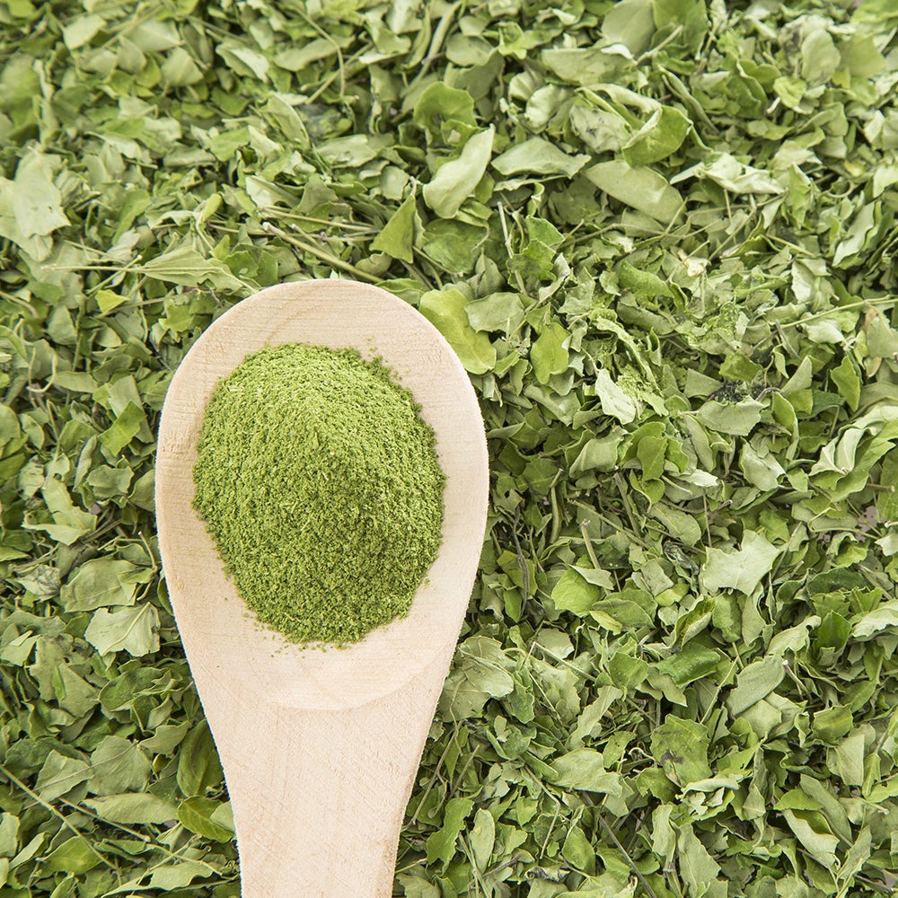 Moringa Leaf Powder | Sehjan Patta Powder | Dried Drumstick Leaves Powder | Moringa oleifera | 100% Pure & Natural