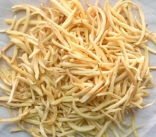 Musli Safed-White Musli-Shwet Muslie-सफेद मूसली-Raw Herbs-Jadi Booti Dried-Chlorophytum Borivilianum